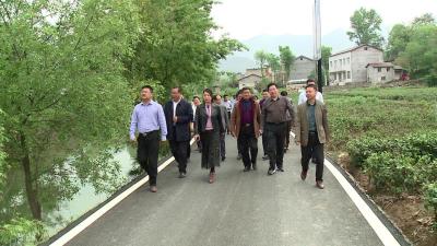 全县“一镇一品”暨旅游专班联席会召开