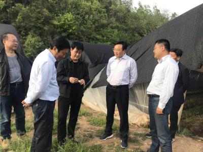 王鹏检查督办脱贫攻坚工作