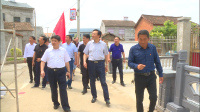 南漳新闻丨王鹏参加县委办公室5月份“支部主题党日”活动