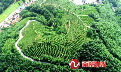 我县讨论研究落实“三农”领域硬任务