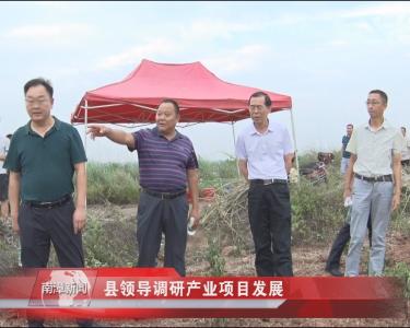 南漳新闻丨县领导调研产业项目发展