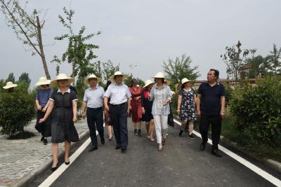 省妇联主席彭丽敏到我县调研妇联工作