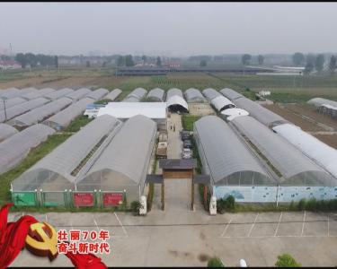 南漳新闻丨壮丽70年 奋斗新时代——小田变大田  省力又赚钱