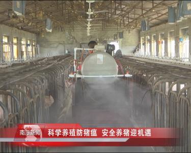 南漳新闻丨科学养殖防猪瘟   安全养猪迎机遇