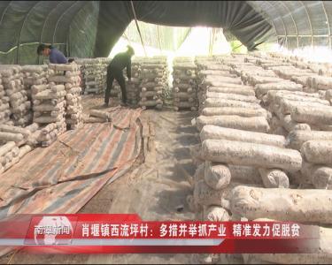南漳新闻丨肖堰镇西流坪村：多措并举 精准发力促脱贫