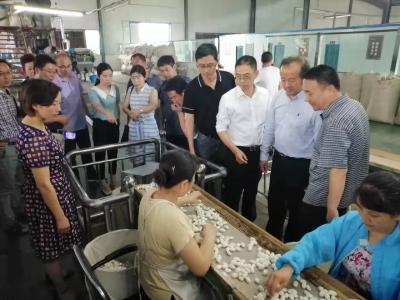 省社科院专家组调研我县减量化增长情况