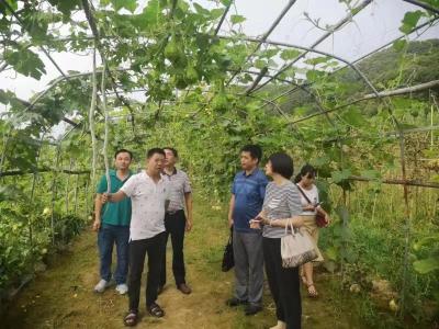省农业农村厅与省社会科学院联合调研组到我县调研  