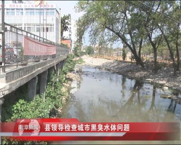 南漳新闻丨县领导检查城市黑臭水体问题