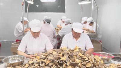 我县多措并举推动外贸出口向好发展