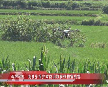 南漳新闻丨我县多措并举防治粮食作物病虫害