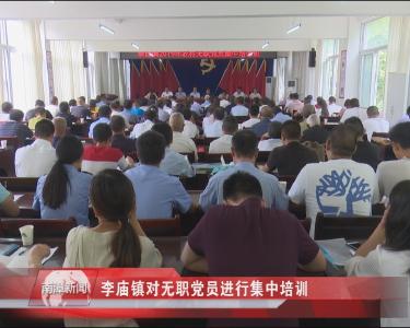 南漳新闻丨李庙镇对无职党员进行集中培训