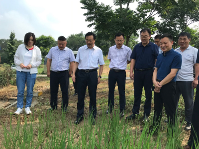 【快讯】王鹏带队检查防汛抗旱、安全生产工作       
