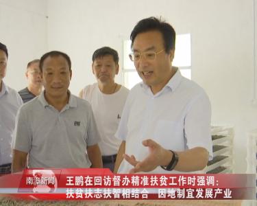 南漳新闻丨王鹏在回访督办精准扶贫工作时强调：扶贫扶志扶智相结合   因地制宜发展产业