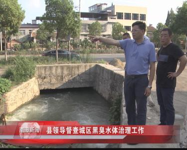 南漳新闻丨县领导督查城区黑臭水体治理工作