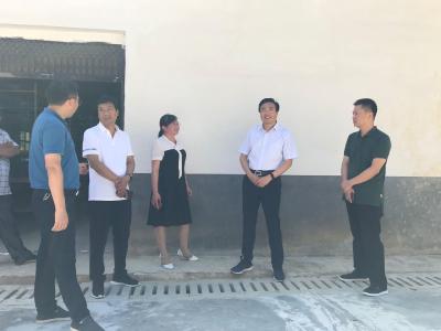 王鹏：注重协调统筹，让产业发展组织化、规模化