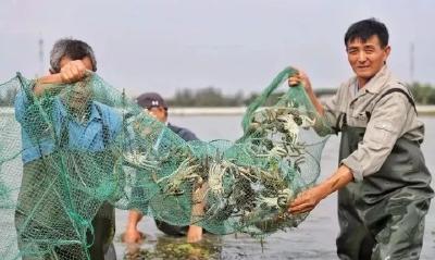 不再“靠天吃饭”！气象指数保险公开透明、理赔快，让农民吃下“定心丸”！