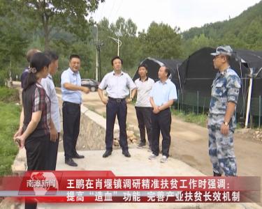 南漳新闻丨王鹏在肖堰镇调研精准扶贫工作时强调：提高“造血”功能  完善产业扶贫长效机制