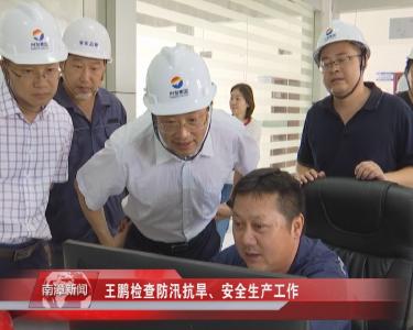 南漳新闻丨王鹏检查防汛抗旱、安全生产工作