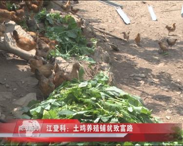 南漳新闻丨江登科：土鸡养殖铺就致富路