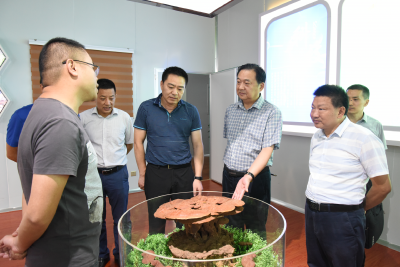 襄阳海关调研我县外贸工作  