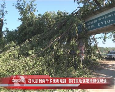 南漳新闻丨狂风刮倒两千多棵树阻路  部门联动连夜抢修保畅通