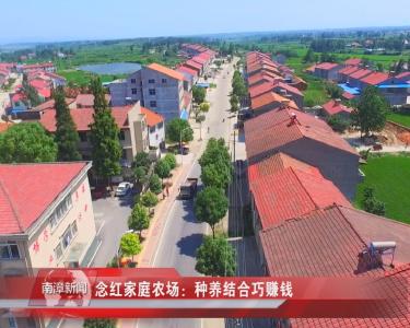 南漳新闻丨念红家庭农场：种养结合巧赚钱
