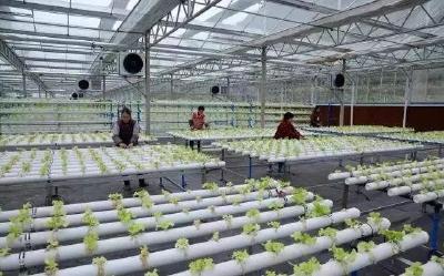 建设、加入农业产业园有什么好？有老铁种地，亩入15000元！