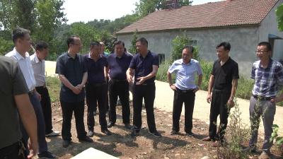 【快讯】省防办到我县检查抗旱工作