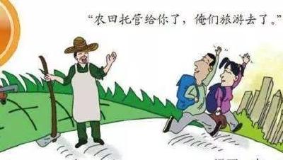 全国首个《农业生产托管服务规范》发布，将给农民争取到更多实惠