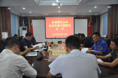 县城管执法局专题整改基层党建问题