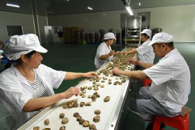 我县外贸出口持续向好