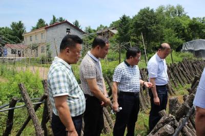 县农业农村局党组：“三抓三促”推进“学习调研、担当落实”行动