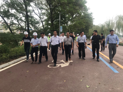 【快讯 】王鹏调研城建项目建设  