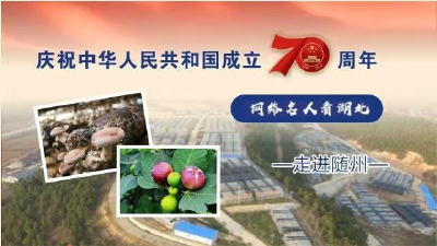 “庆祝中华人民共和国成立70周年——网络名人看湖北”走进随州。