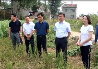 市领导到我县调研防汛抗旱工作
