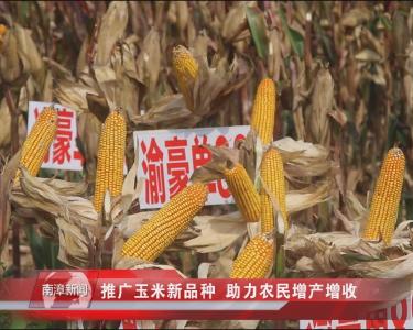 南漳新闻丨玉米提质增效 助力农民增产增收