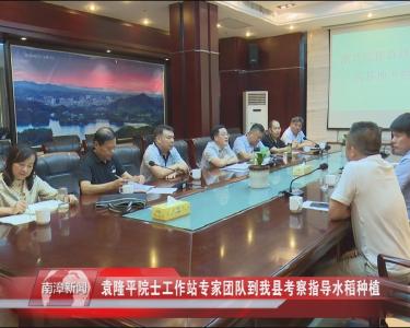 南漳新闻丨袁隆平院士工作站专家团队到我县考察指导水稻种植
