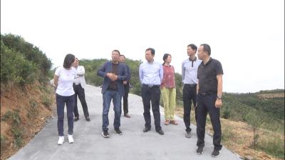 省调研组充分肯定我县农民合作社“空壳社”清理工作