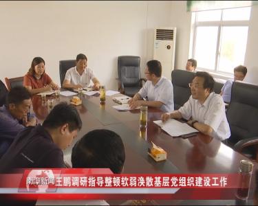 南漳新闻丨王鹏调研指导整顿软弱涣散基层党组织建设工作