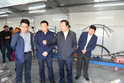 王鹏调研重点项目建设时强调：强化措施 攻坚克难 全力以赴加快项目建设进度  
