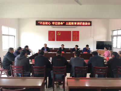 【快讯】王鹏调研主题教育工作、基层党组织建设、精准扶贫工作  