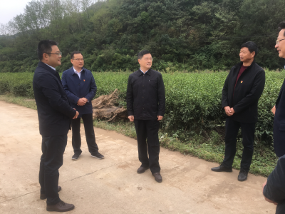 【快讯】市领导吕义斌到我县调研