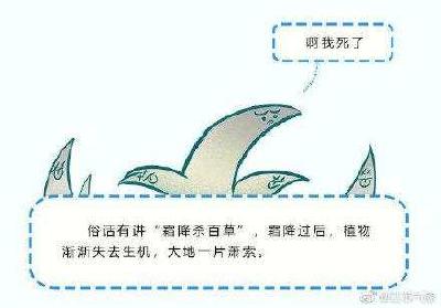 霜降和降霜，你能分清吗？