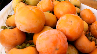 甜了舌尖的甜蜜“柿”业