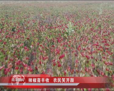 南漳新闻丨辣椒喜丰收 农民笑开颜
