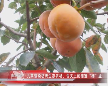南漳新闻丨九集镇染坊湾生态农场：舌尖上的甜蜜“柿”业