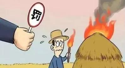 【生活小常识】秋收季节，向焚烧秸秆说不！