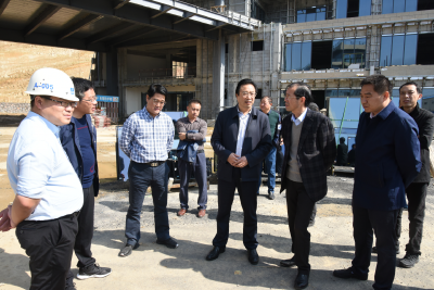 【快讯】王鹏调研重点项目建设情况  