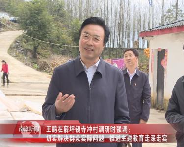 南漳新闻丨王鹏在薛坪镇寺冲村调研时强调： 切实解决群众实际问题 推进主题教育走深走实