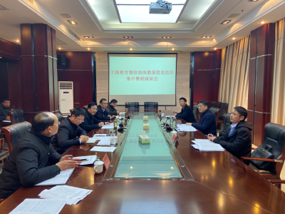 市领导到我县调研软弱涣散基层党组织整顿等工作  